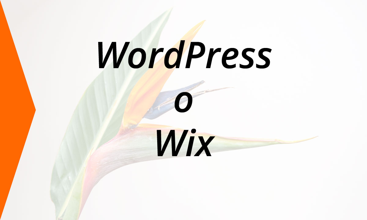 ¿WordPress o Wix para nuestra página web?