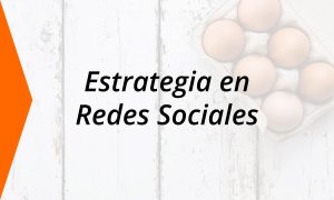 Cómo realizar una estrategia de marketing digital en redes sociales 3